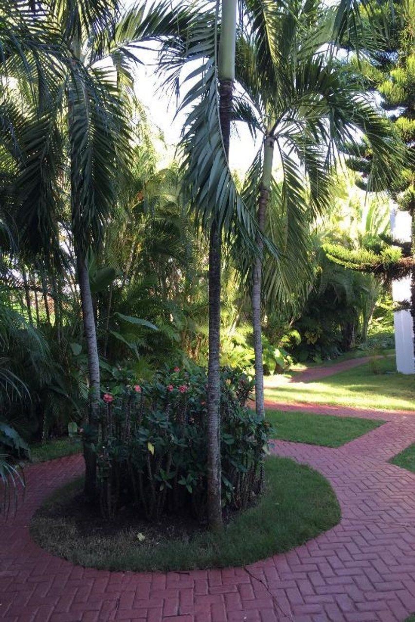 Tribe Resorts Хуан-Долио Экстерьер фото